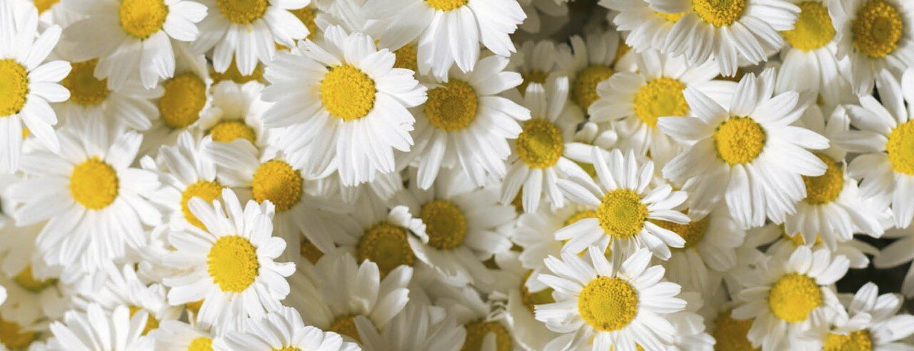 Festa di primavera
