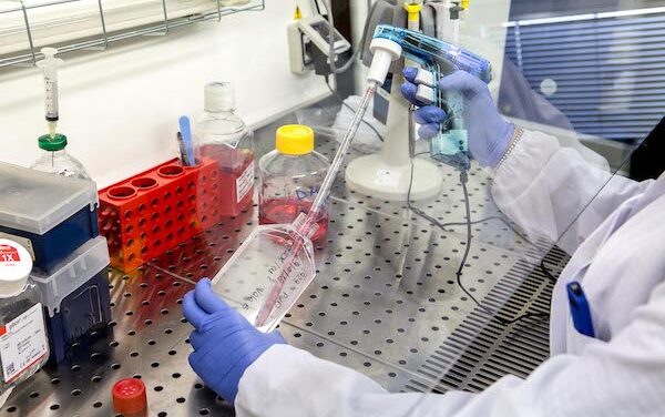 BIOMEDICALE, PATTO PER IL NORD: “MIRANDOLA NON PUÒ PAGARE GLI ERRORI DELLA PROGRAMMAZIONE NAZIONALE”