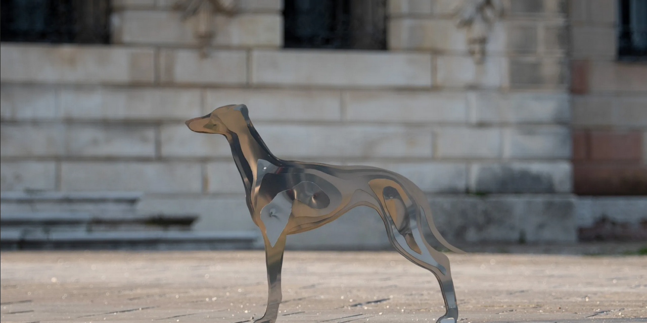 Connessione da Cani, mostra di foto e sculture