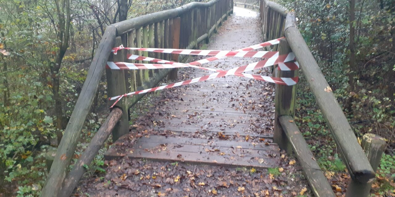 Danni da maltempo a Fiorano Modenese