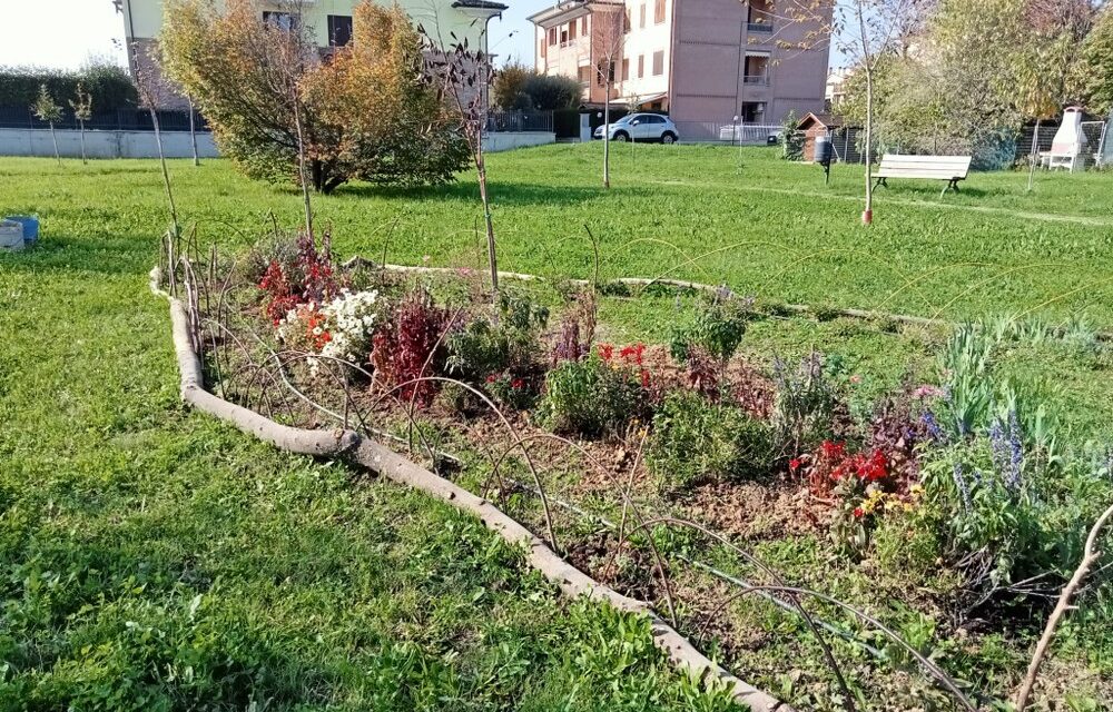 Adotta un’aiuola!
