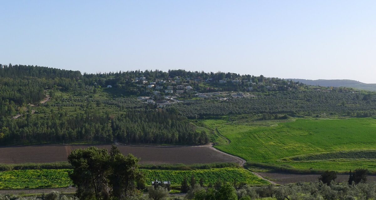 Ebrei-palestinesi: il dialogo e la convivenza possibili