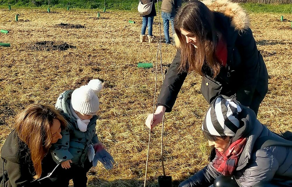 Accordo del Comune con ANT per un nuovo “Bosco della Vita”