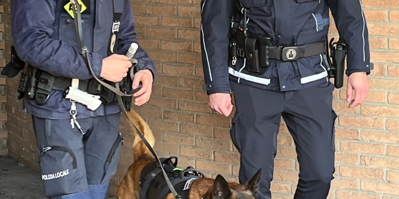 MARANELLO, POLIZIA LOCALE IN AZIONE CON L’UNITÀ CINOFILA