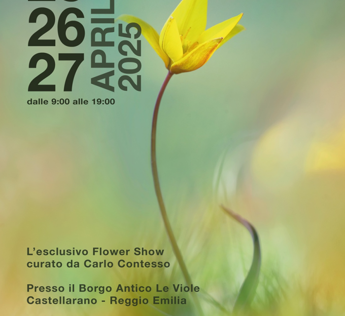 Borgo Plantarum – Ritorno alla terra