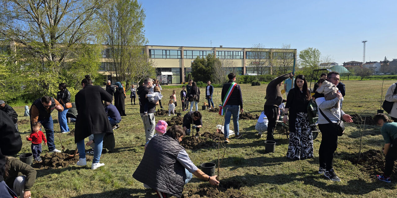 MESSE A DIMORA 311 NUOVE PIANTE   