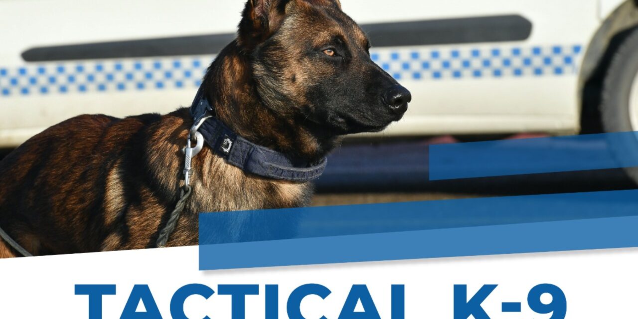 “TACTICAL K-9”: LE UNITÀ CINOFILE NELLE ATTIVITÀ DI POLIZIA