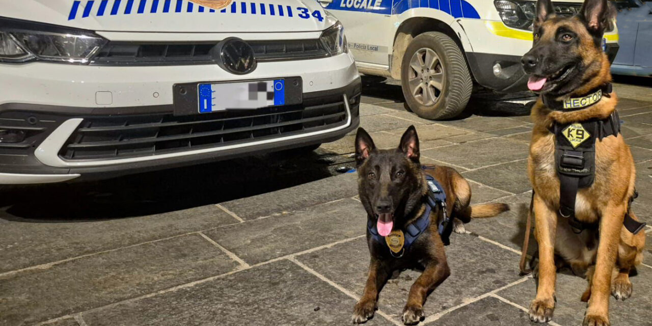 CONTROLLI CONGIUNTI AI GIOVEDÌ SOTTO LE STELLE