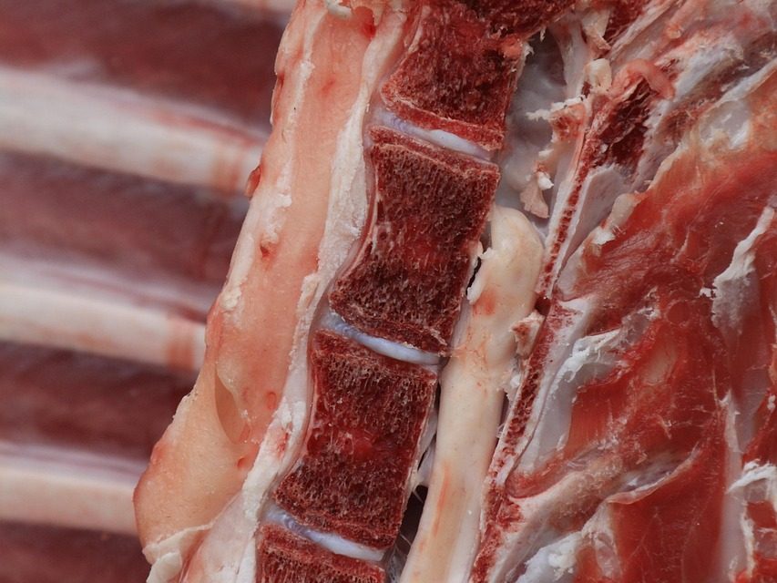 Macellazione invernale suini ad uso domestico privato