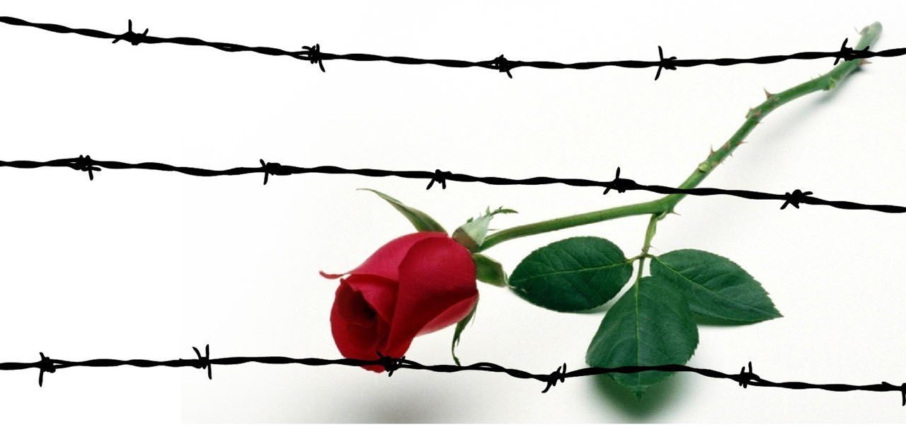 Giorno della Memoria, conferenza e film