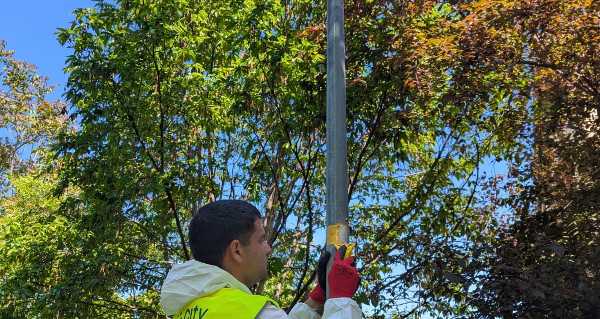 MANUTENZIONE STRAORDINARIA DELL’ILLUMINAZIONE: INTERVENTI SU PALI CON RIPRISTINO E RIVERNICIATURA