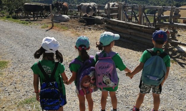 Centri estivi a Fiorano Modenese: un’estate di crescita, gioco e inclusione per 370 bambini