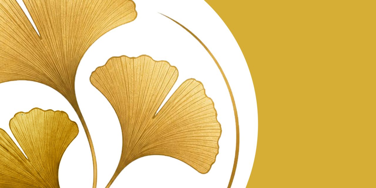 Ginkgo d’Oro