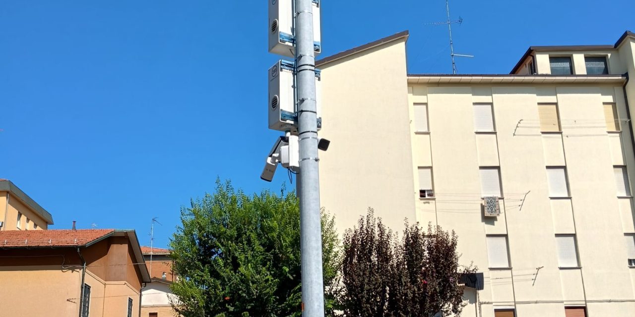 DECRORO URBANO: NUOVE FOTOTRAPPOLE