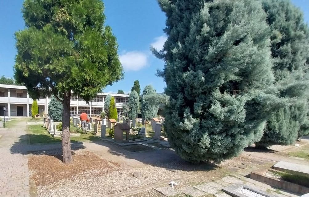 Cura dei cimiteri