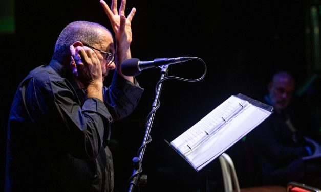 Poesia Festival, “Il Piccolo Principe” con Luca Violini