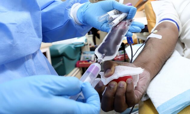 Politi:” Negare il diritto alla vita è davvero un fatto di sangue”