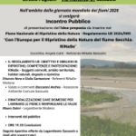 “Rifacciamo pace con la Natura”: RiNaSe, il progetto per riportare il Secchia alla sua funzione ecologica