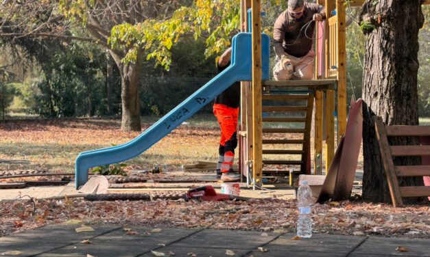UN PIANO DI MANUTENZIONE PER GIOCHI E ARREDI NEI PARCHI