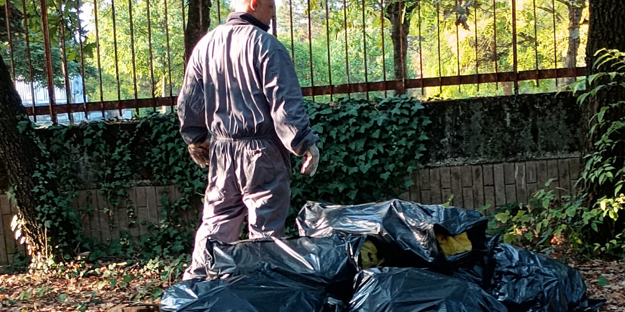 INTERVENTO IN VIA SALVAROLA